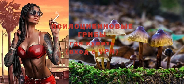 MDMA Михайловск