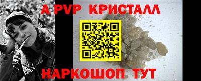 шишки Кингисепп
