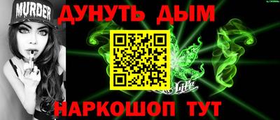 шишки Кингисепп