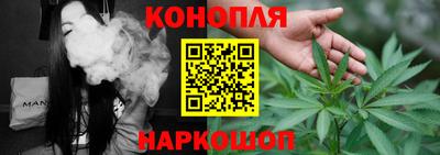 шишки Кингисепп
