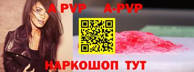 шишки Кингисепп