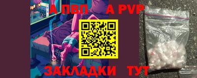 шишки Кингисепп