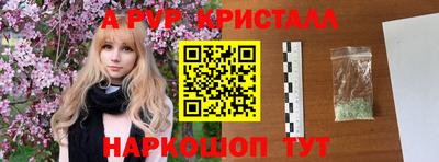 шишки Кингисепп