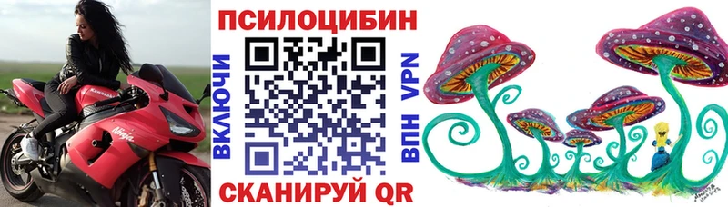 сайты даркнета телеграм  blacksprut ТОР  Галлюциногенные грибы мицелий  Нальчик  как найти наркотики 