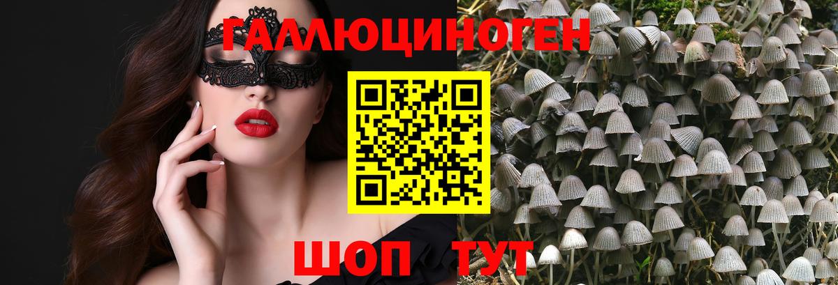 Псилоцибиновые грибы MAGIC MUSHROOMS Нальчик